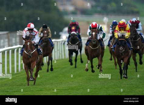 handicap betting william hill|William Hill Keep Your Raceday Positive Handicap.